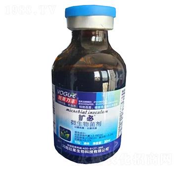 �U��΢�������-��������