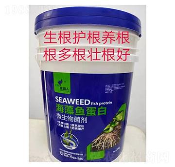 �����ͺ����~����΢�������-�f�@��-ϲ����