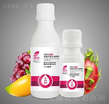 �p�������\�f-Ӣ¶�����S