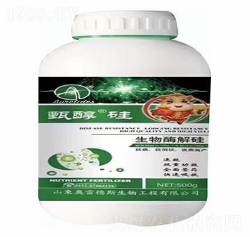 �紼��-�W�׵�˹