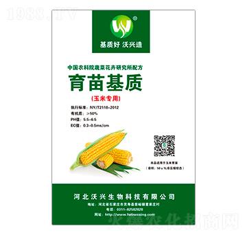 ���׌���������|-���d����