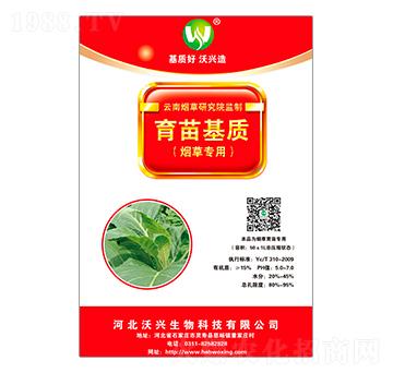 ���݌���������|-���d����