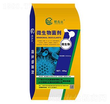 ΢�������-�ѷ�Ԫ