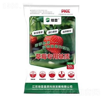 ��ݮ������|-����