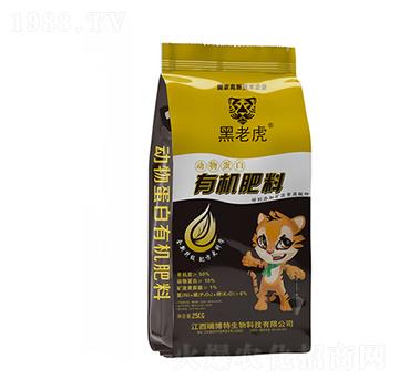 ���ﵰ���ЙC����-���ϻ�-�|���r�ʘI(y��)