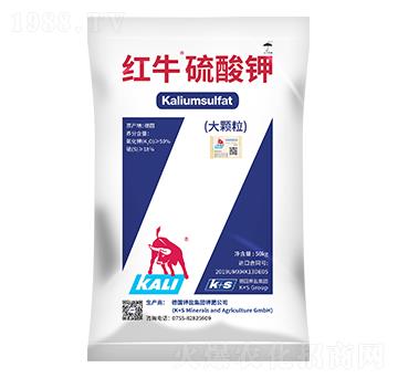 �tţ����⛣����w����-����}�r(n��ng)�I(y��)