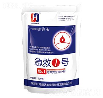 ����1̖-��ʢ�_