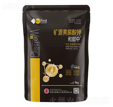 �VԴ�S�����-������-��ķ��