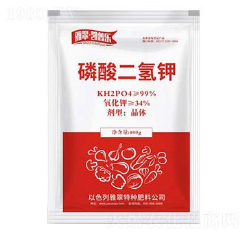 ��������-�P�՘�-�Ŵ�����