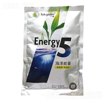 ���徫+�~(y��)����-��������5-�����r(n��ng)�I(y��)