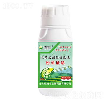 �r�������۹�����-��ʭ�پ�-�����S