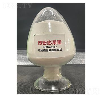 �ڷ������-��������