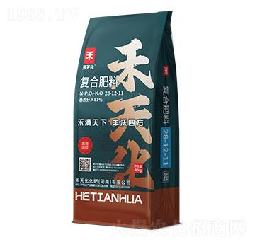 ���������ͺϷ���28-12-11-���컯