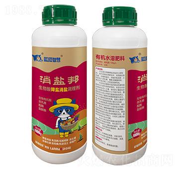 �����ή�}���}�{�턩-���}��-�{؈�ǻ�