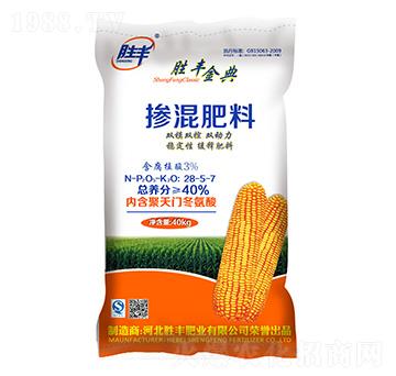 �pģ�p�ؓ������28-