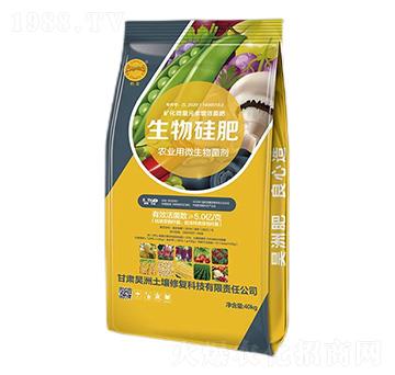 ������-��������ޏ�(f��)