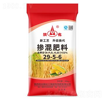 �������29-5-6-ꃻ�