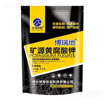 �VԴ�S�����-�����-��������