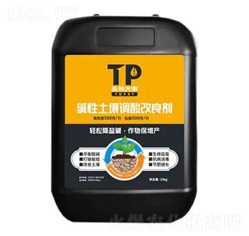 �A�������{�������-�^�ȴ���-��������