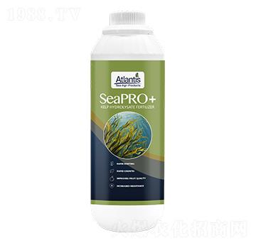 ���塤ԭҺ-�{�Kɭ