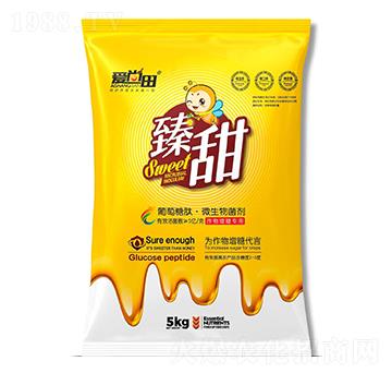 �������ġ�΢�������-����-�������