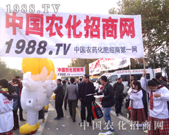 �r(n��ng)�����̾W(w��ng)���ۺ�Č���������ֱǰ