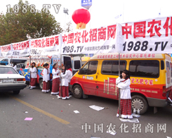 �r(n��ng)���W(w��ng)����������(du��)��׌�˞�֮�۷�