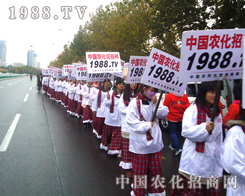 ��Ҋ�C1988.TV��(sh��)������(qi��ng)��������(sh��)������������