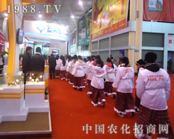 �r(n��ng)���W(w��ng)�Ì�(sh��)���̈́�(chu��ng)���������˵��۹�