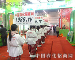 �����ݷ���չ�������ի@�˳ɹ�