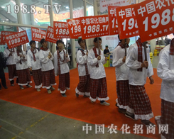 ɽ�|ʡ��19��ֲ����(hu��)С���(y��ng)��?c��)ٴ�����ע�? width=