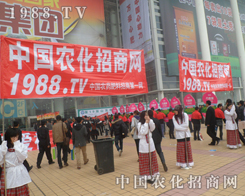 2013ɽ�|ֲ���p����(hu��)���F(tu��n)�(du��)��������