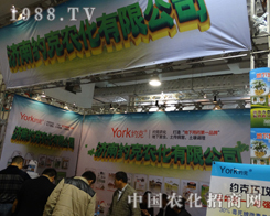 ���ϼs�˳�ϯ��19��ɽ�|ֲ����