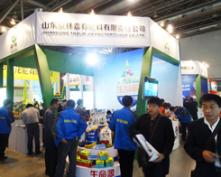 ɽ�|Ȫ�ּ��з�����2013�׏�(f��)�ʕ�(hu��)��