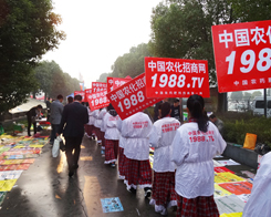 2013�׏�(f��)�ʕ����r(n��ng)�����̾W(w��ng)��������