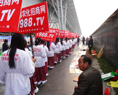 �r(n��ng)����(zh��n)ʿጷŻ���ʎ����2013�Ϸ��׏�(f��)�ʕ���