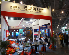 �ͷ��ر���2013��ʮ�Č��׏ͷ�չ�[���F(xi��n)��