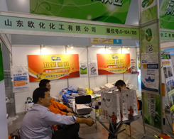 2013���׏�(f��)��չ�[��(hu��)�Ͽ����˚W������