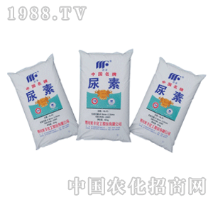 ���S����