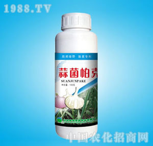 �ٰ�-�������