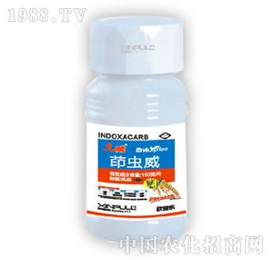 ���՘�(l��)-���x��