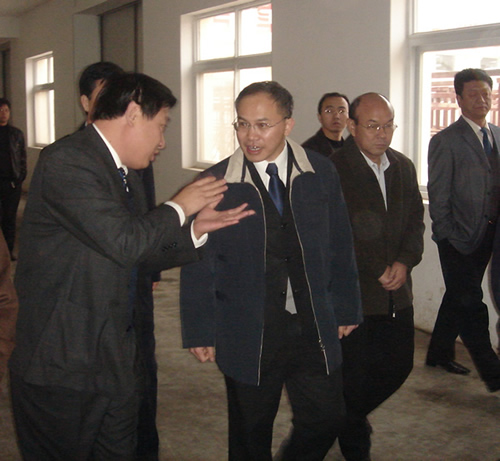 Lead inspection